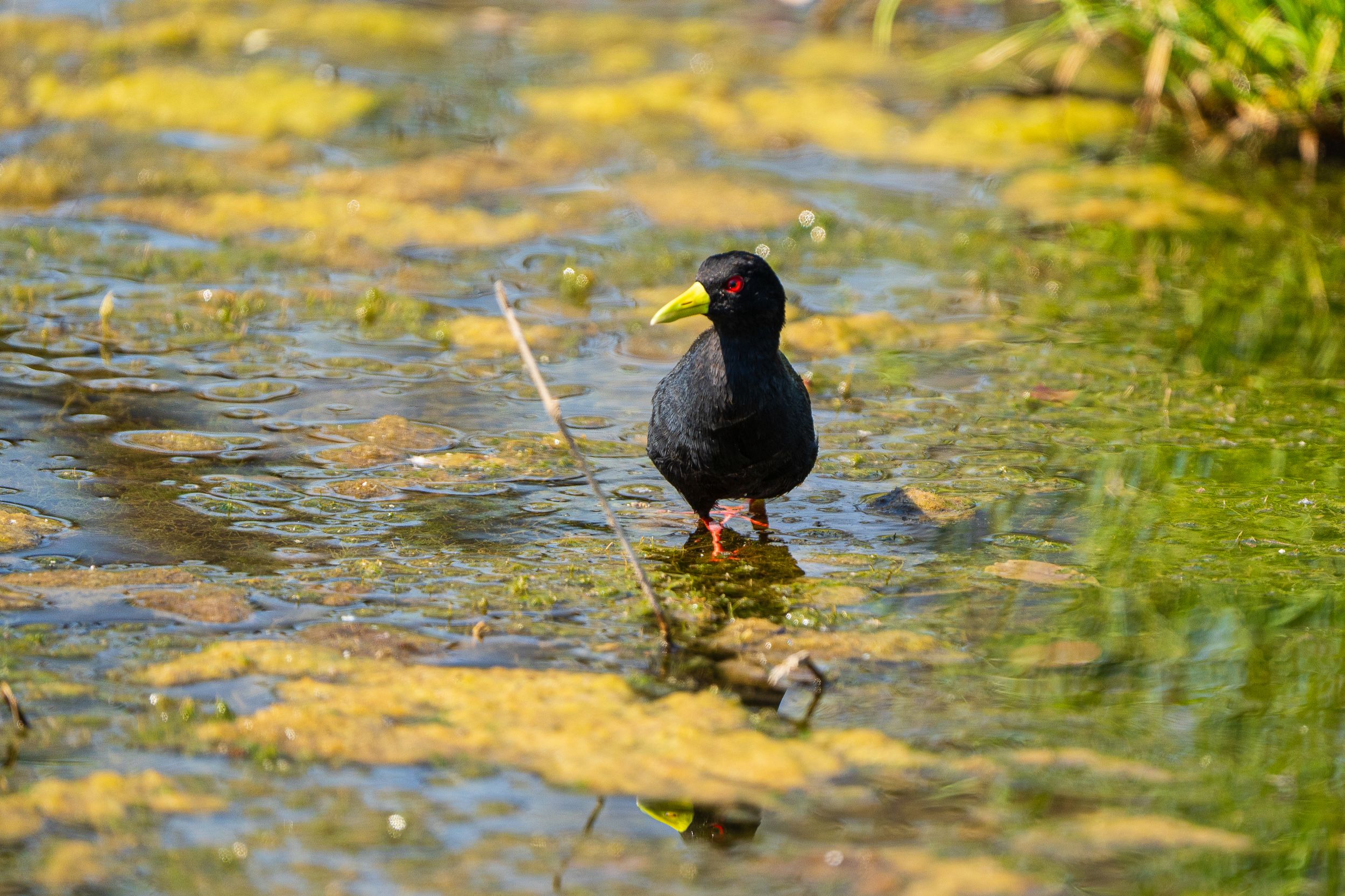 20231006 095806 Fotobuch Südafrika 04809